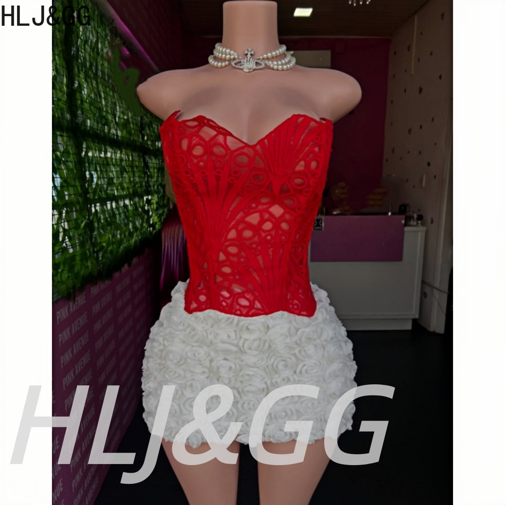 HLJ&GG Conjunto de duas peças  - Embroidery Skirt avaliação e preço